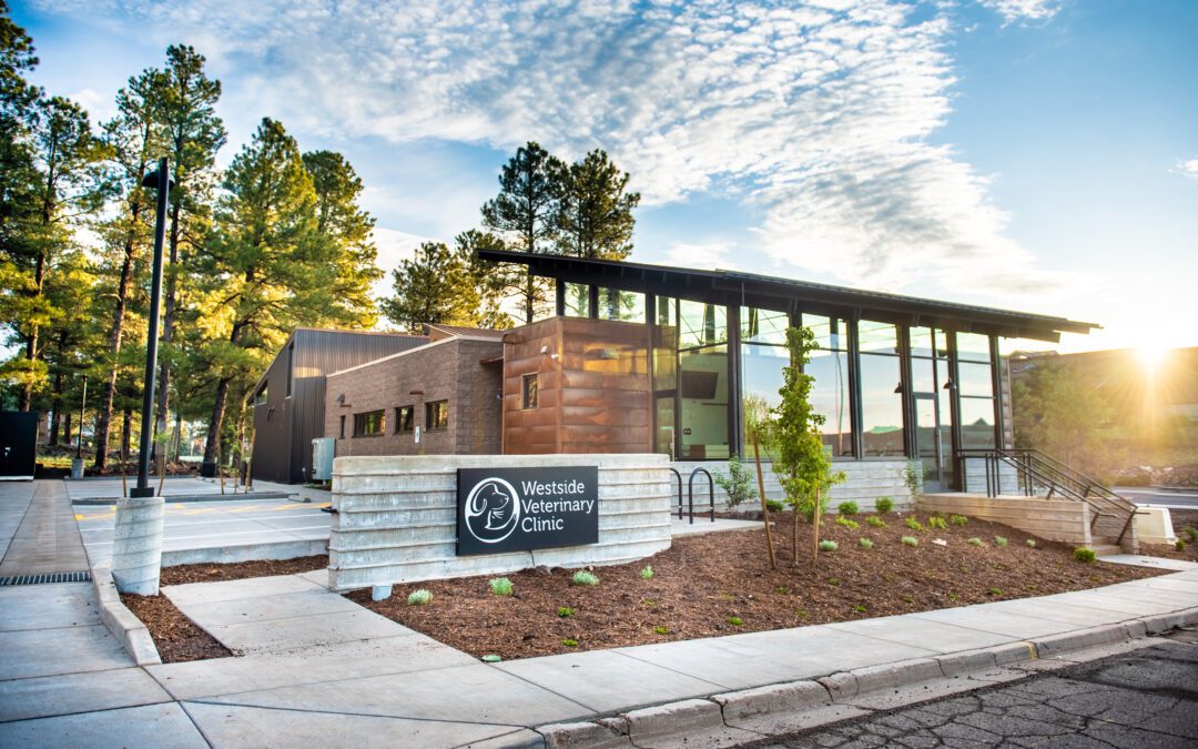 Westside Veterinary Clinic